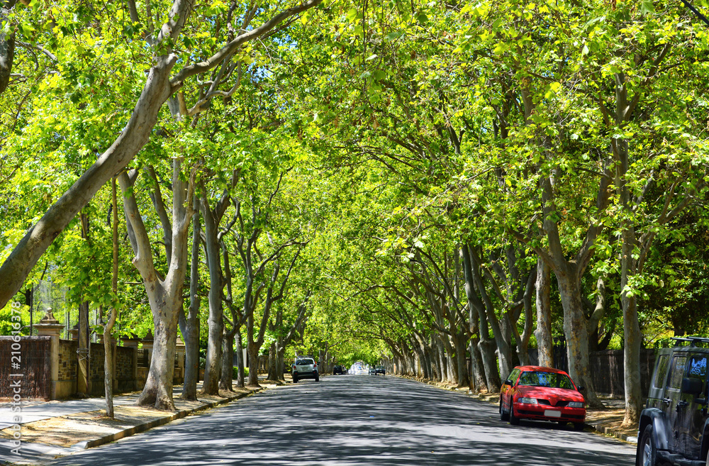 Eastern Adelaide - Adelaide build region
